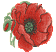 Cross Stitch Flower Poppy Embroidery