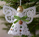 Christmas Angel Battenberg Lace Ornament