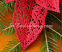 Poinsettia Christmas free standing lace machine embroidery design - leaf detail