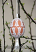 Freestanding Lace Easter Egg Cover #2