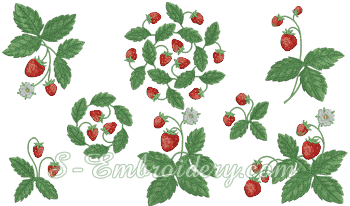 10353 Strawberry machine embroidery set