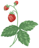 10347 Strawberry machine embroidery No3