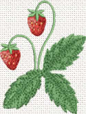 10349 Strawberry machine embroidery No5