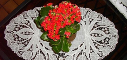 Free standing lace tulips doily
